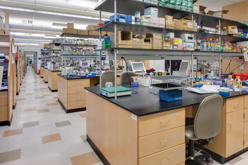 Biopolymers-Interior-Lab-bench