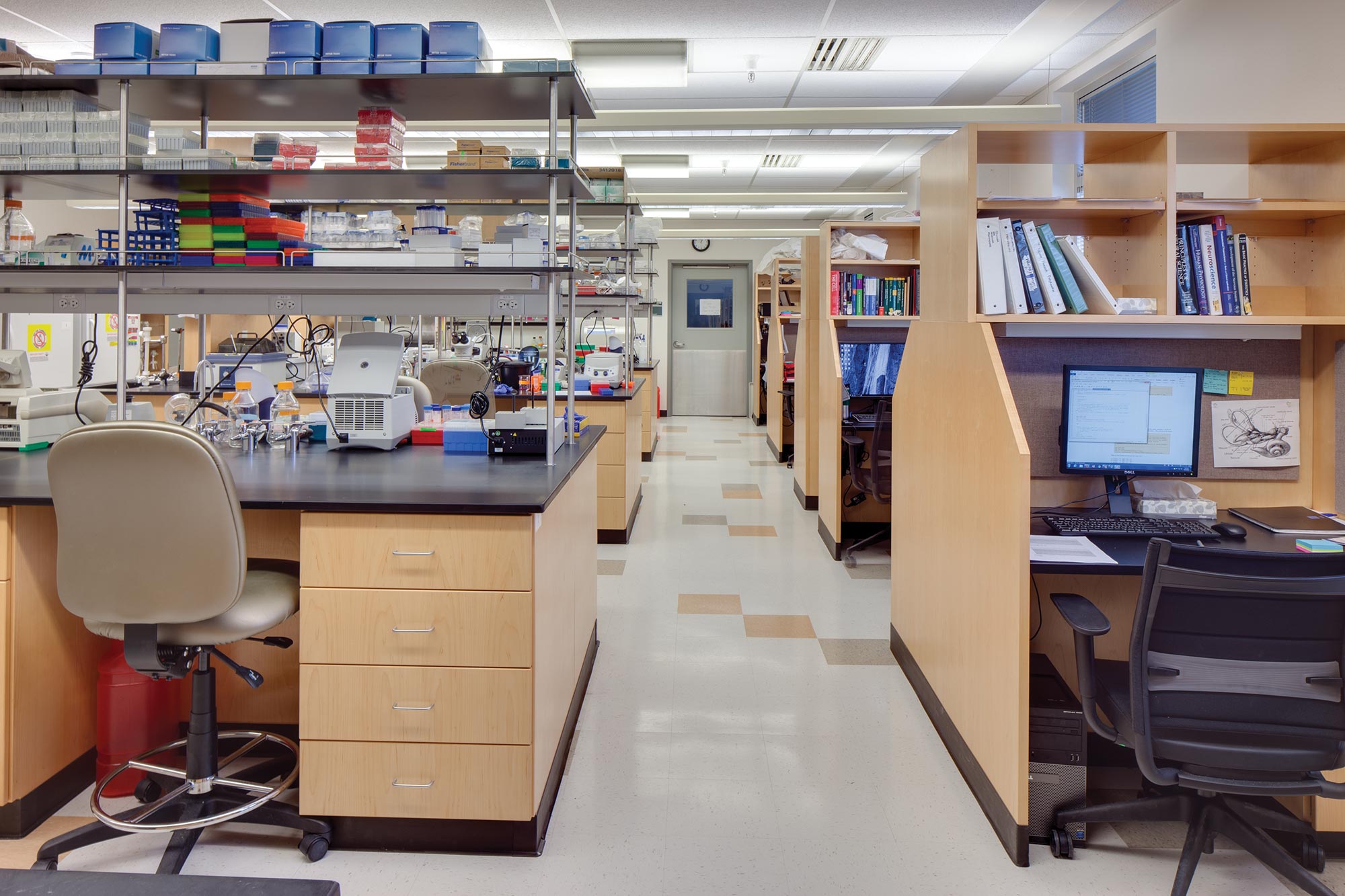 Biopolymers-Interior-Lab-bench-researcher-Space