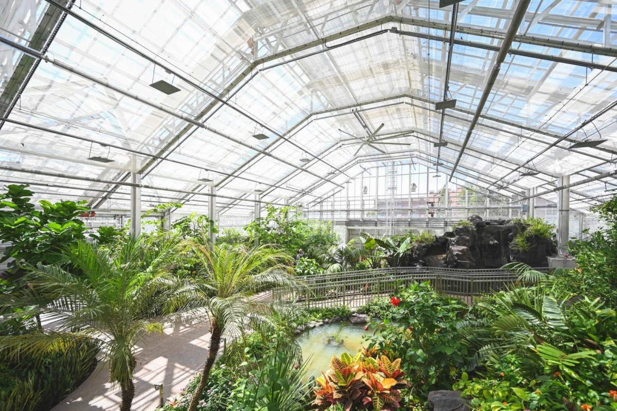 The Butterfly Biosphere at Thanksgiving Point FFKR Architects