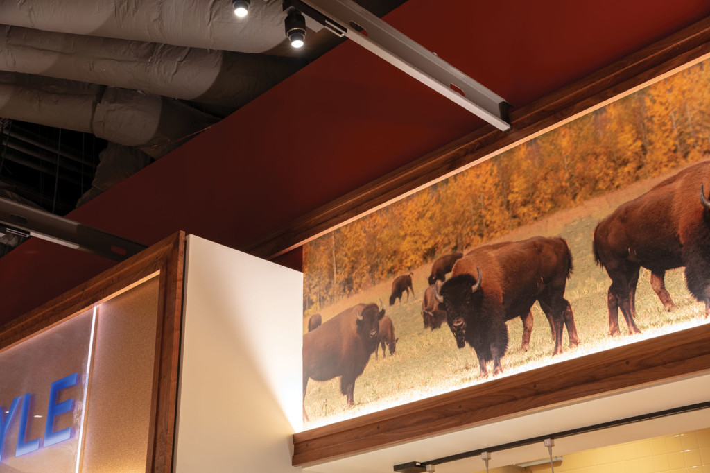 Shoshone-Bannock-Casino-Buffalo-Ceiling-Pattern