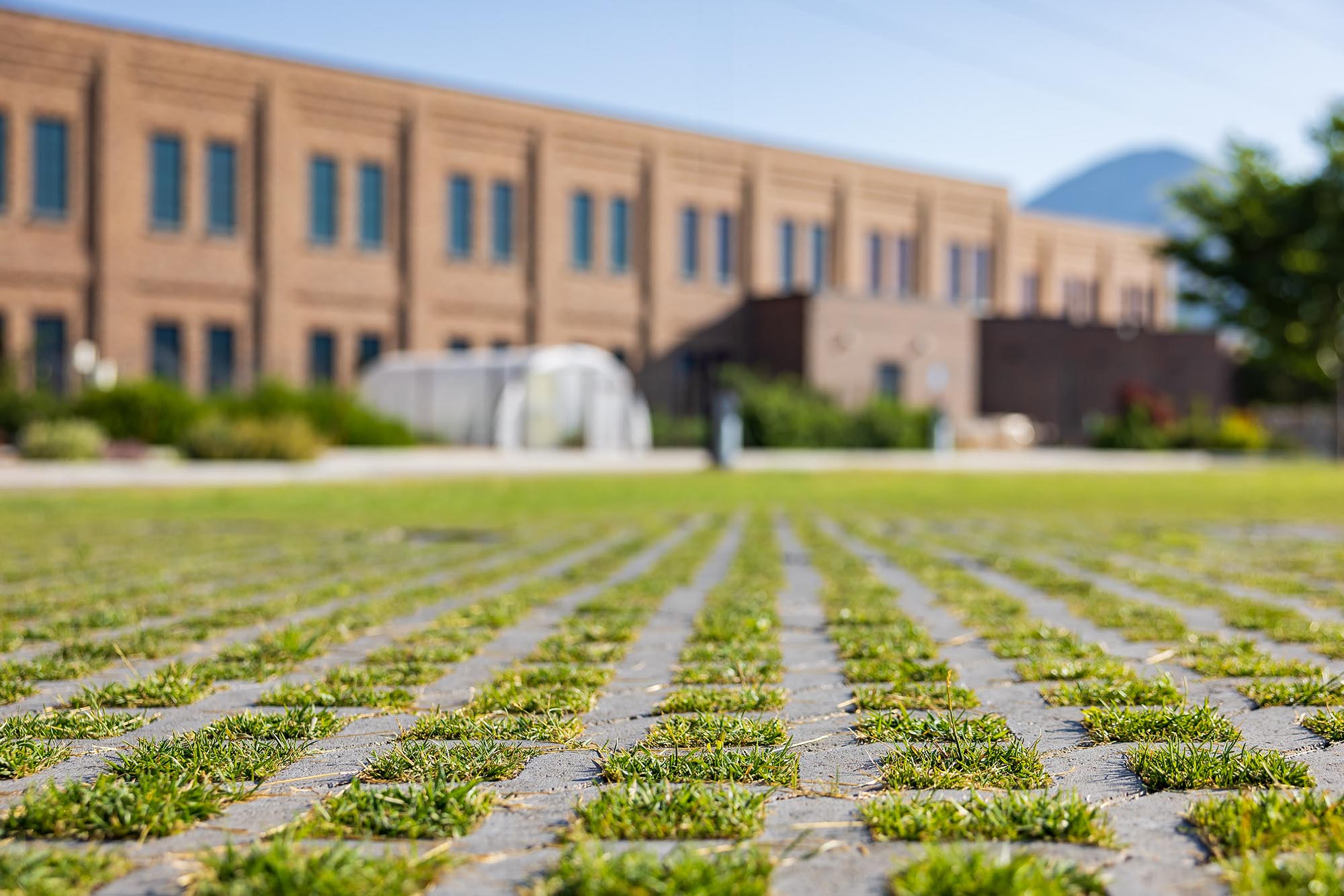 Wavetronix-Springs-Campus-Exterior-Landscape-43