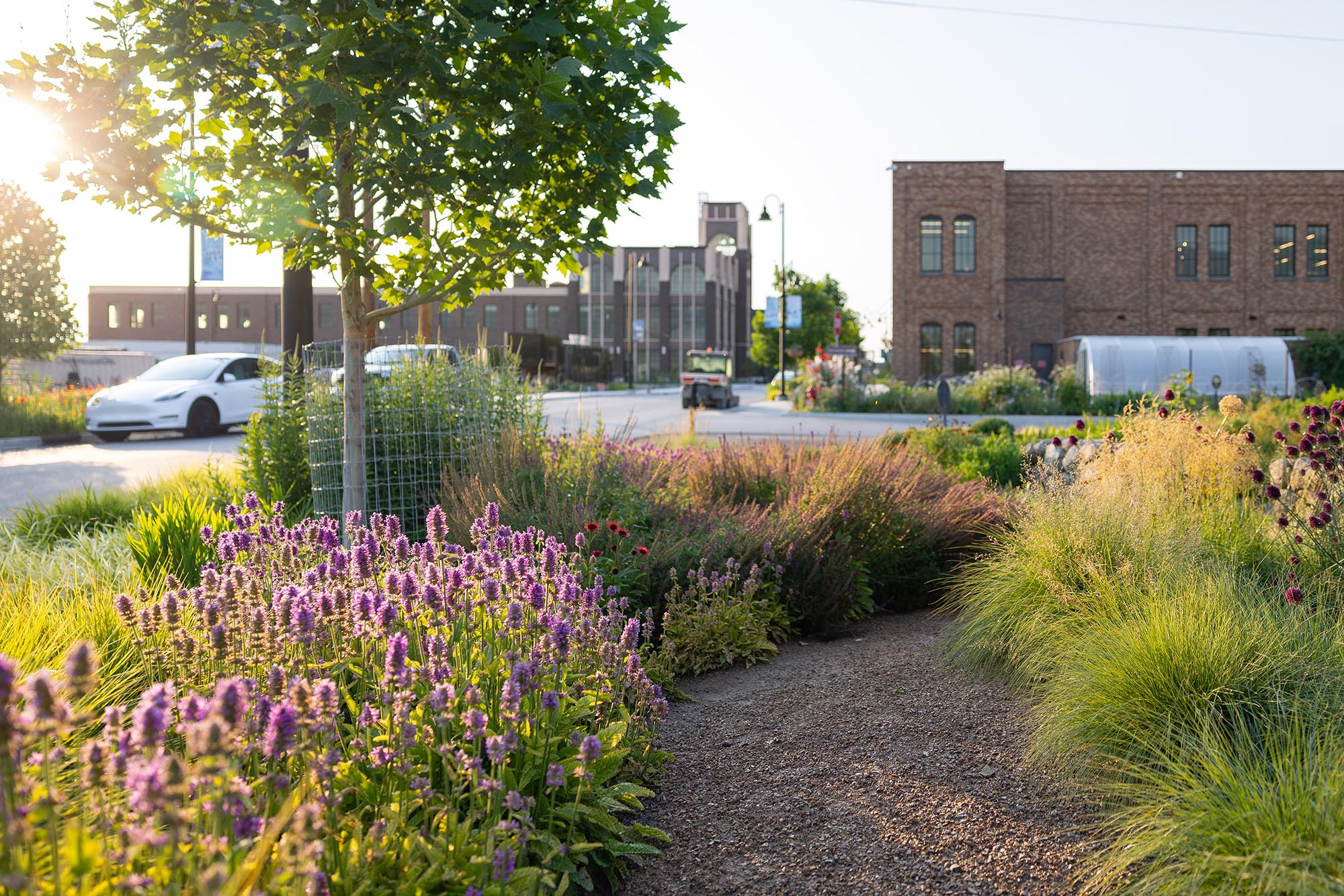 Wavetronix-Springs-Campus-Exterior-Landscape-5 N. Eldon Tanner Business Building